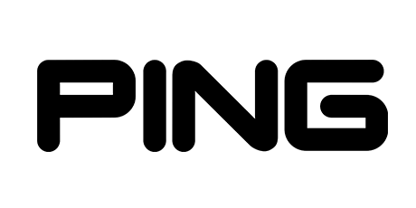 Ping Logo Png Transparent